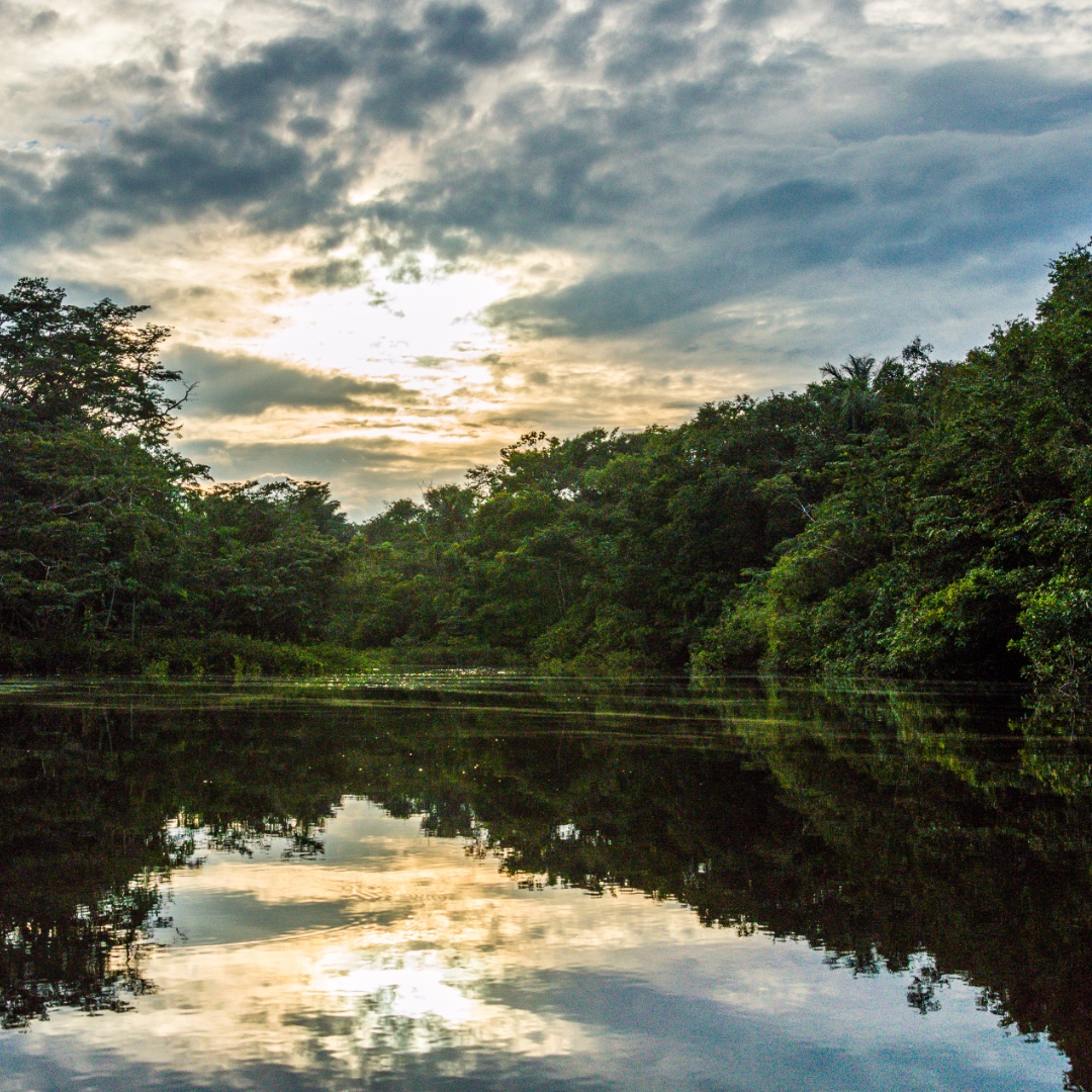 Cuyabeno river  is located in Cuyabeno Wildlife Reserve which is a home for many animals (parrots, monkeys, anaconda, caimans, sloth,  piranhas etc) and also people from Siona tribe. Trip to Cuyabeno protected area is possible only with guide (organized trip) and offers unforgetable experience.